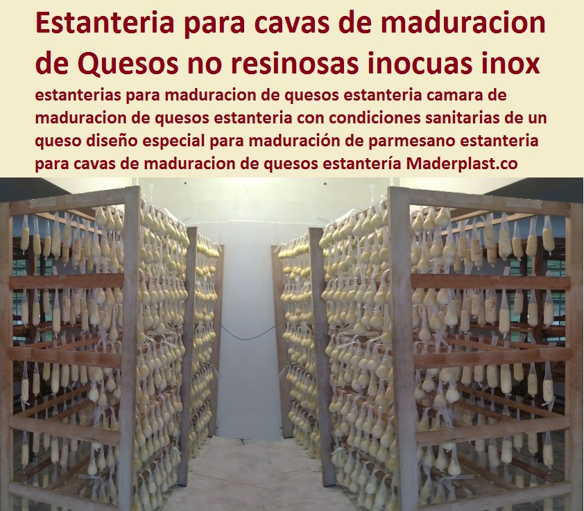 ESTANTERÍAS RACKS GABINETES PLÁSTICOS 2016 estanterías para maduración de quesos estantería cámara de maduración de quesos estantería con condiciones sanitarias de un queso diseño especial para maduración de parmesano estantería para cavas de maduración de quesos estantería 0001 ESTANTERÍAS RACKS GABINETES PLÁSTICOS 2016 estanterías para maduración de quesos estantería cámara de maduración de quesos estantería con condiciones sanitarias de un queso diseño especial para maduración de parmesano estantería para cavas de maduración de quesos estantería 0001 ESTANTERÍAS RACKS GABINETES PLÁSTICOS 2016 estanterías para maduración de quesos estantería cámara de maduración de quesos estantería con condiciones sanitarias de un queso diseño especial para maduración de parmesano estantería para cavas de maduración de quesos estantería 0001